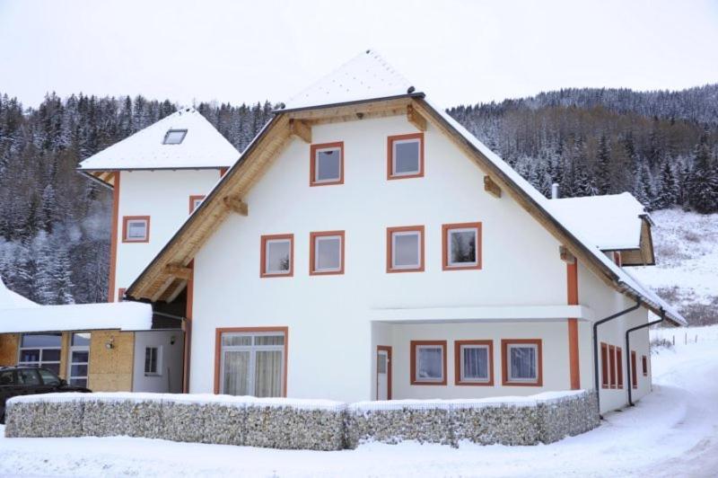 Appartementhaus Hochegg Lachtal Exterior photo